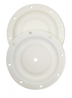 membrane